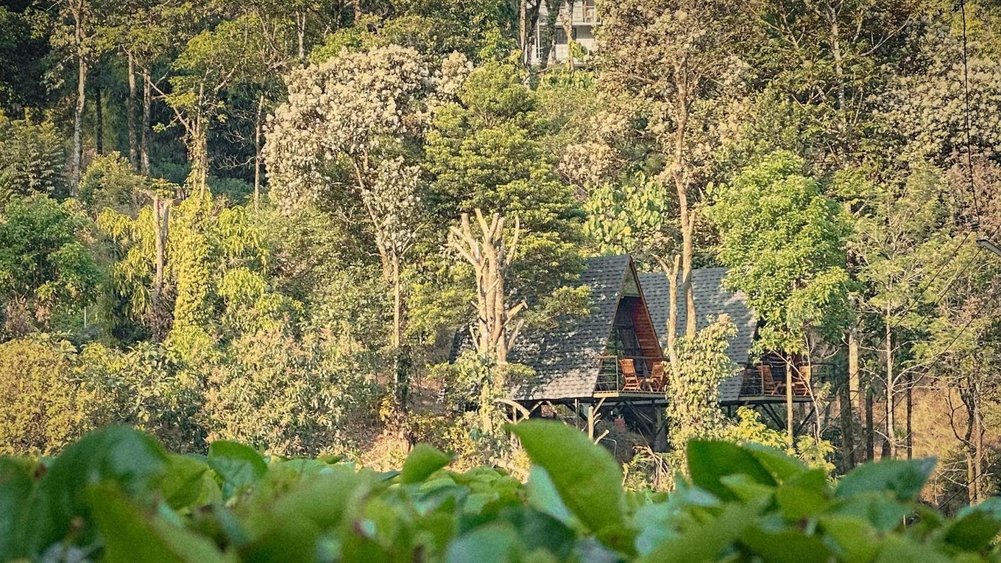Forestscape Resort Munnar Exterior photo